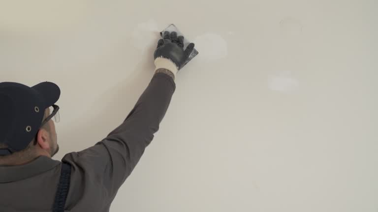 Pressure Washing and Painting Preparation